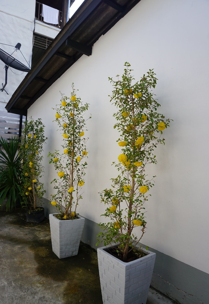 Ann Guest House