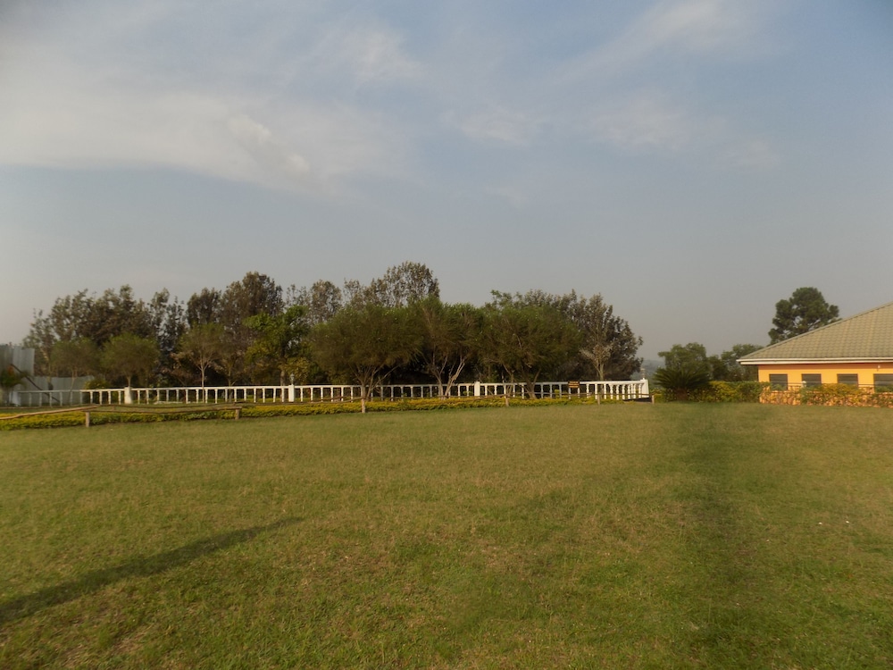 Photo 42