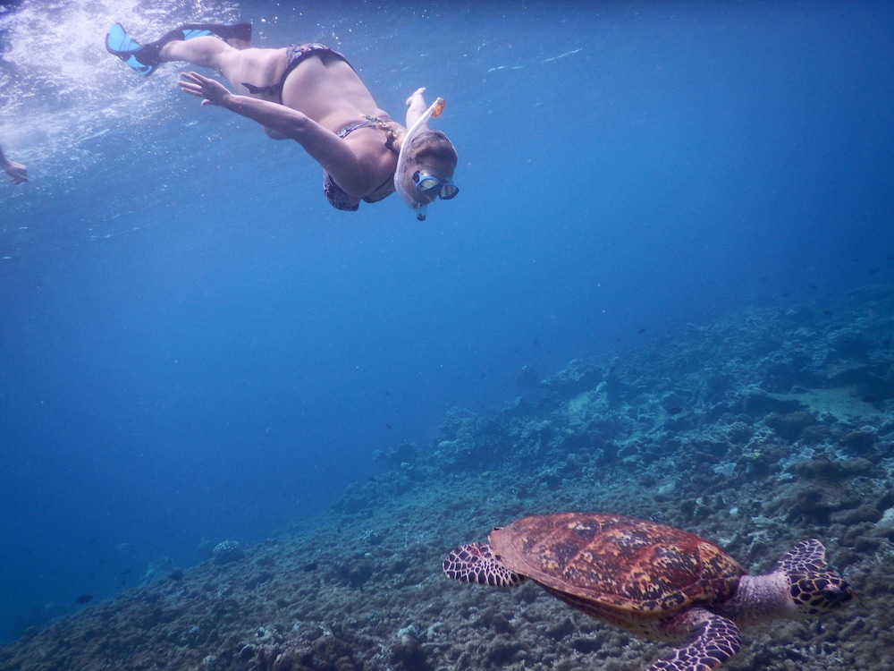 Equa Reef Maldives