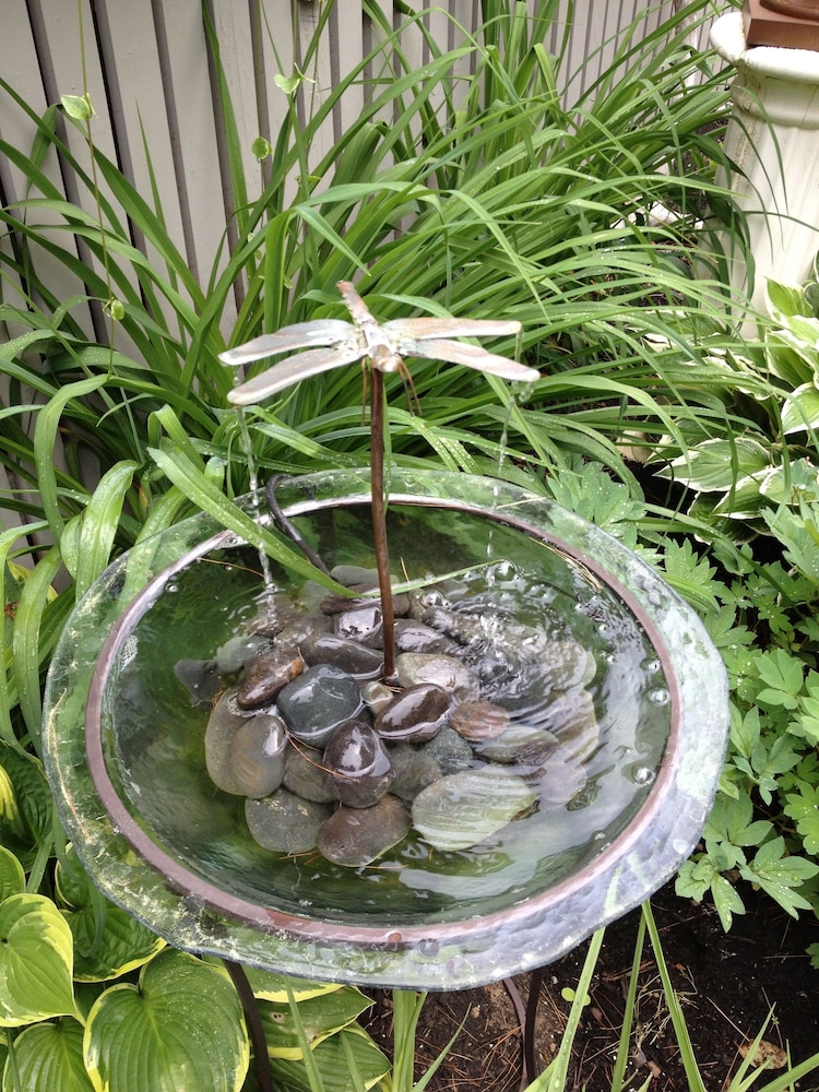 Dragonfly Guest House