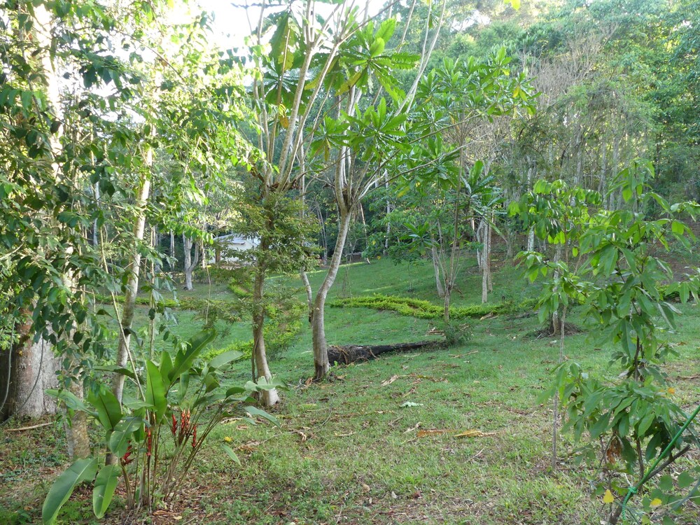 Photo 29