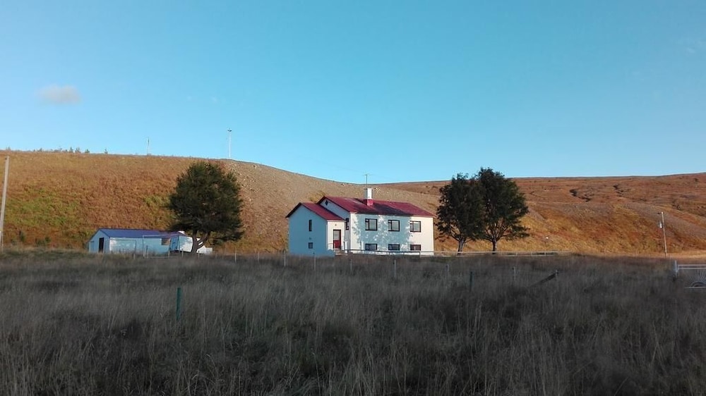 Photo 9