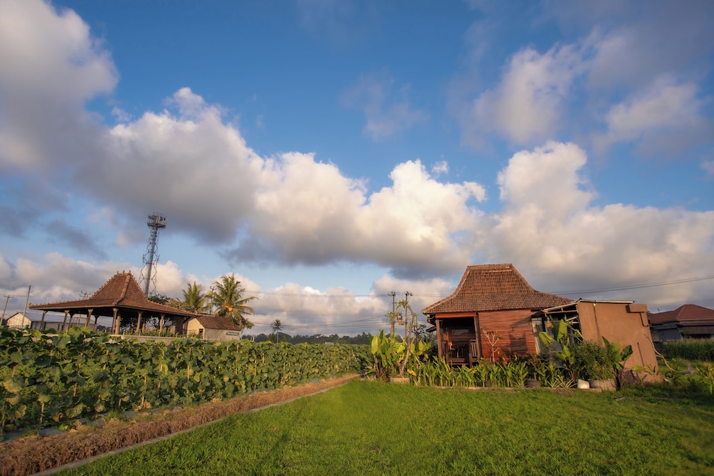 Sun Harvest Bali