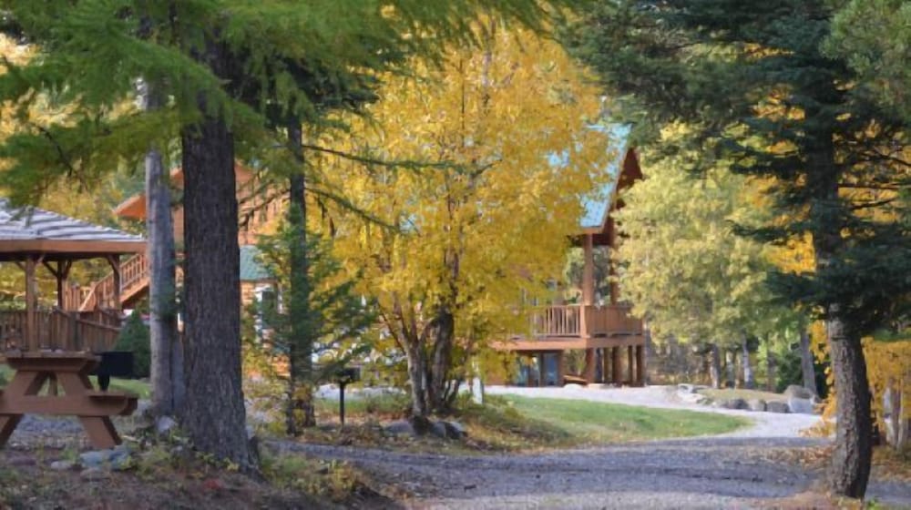 Timber Wolf Resort & Jeep Rentals