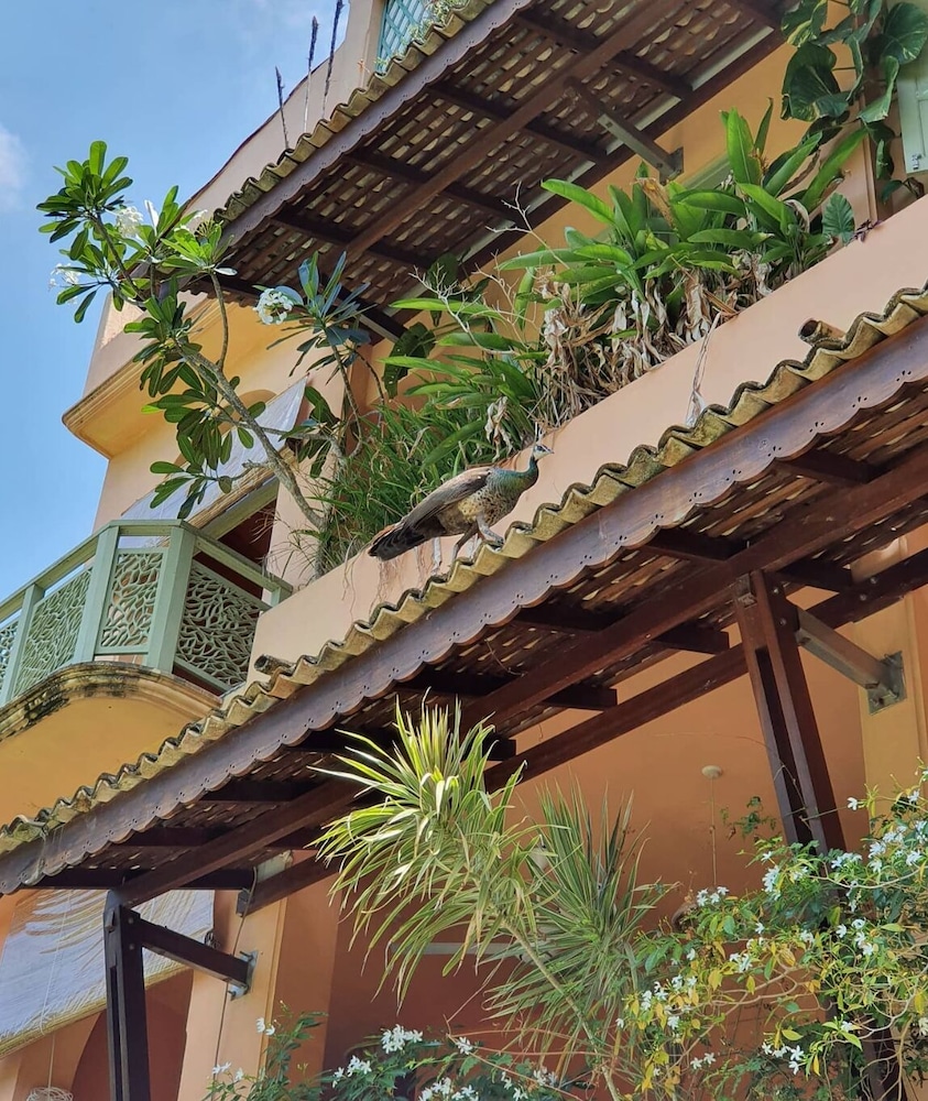 Casa Maria