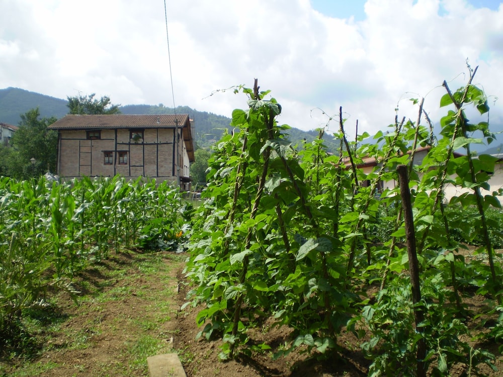 Agroturismo y apartamentos Ondarre