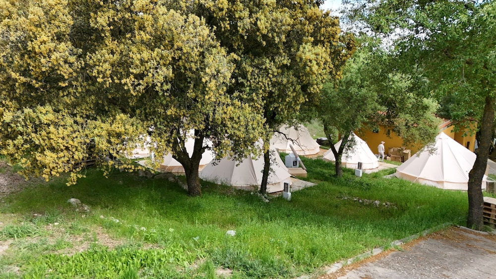 Glamping la bellota