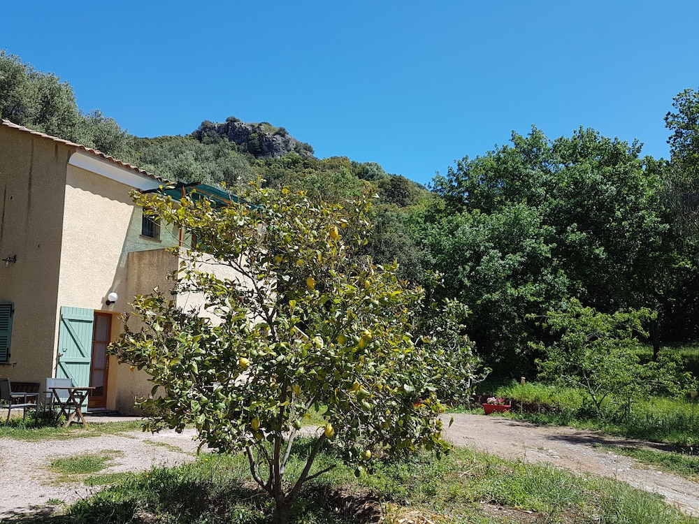 A Casa Di L'Alivu