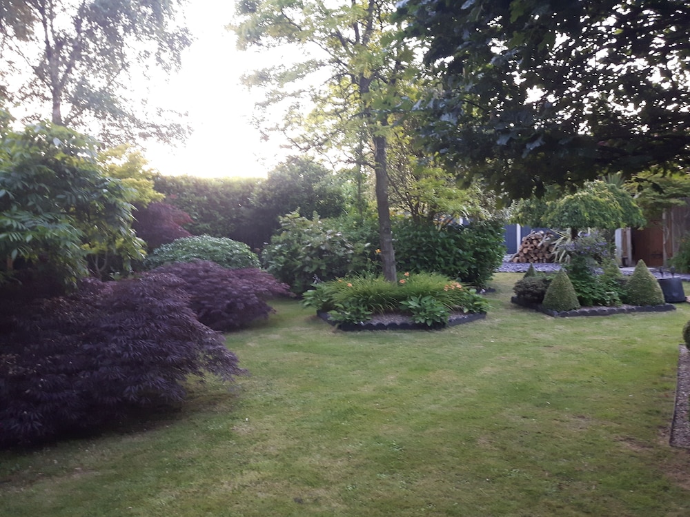Photo 29