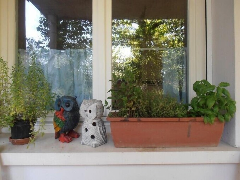 Photo 40