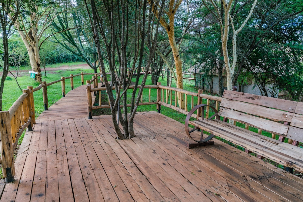 Ngorongoro Forest Tented Lodge