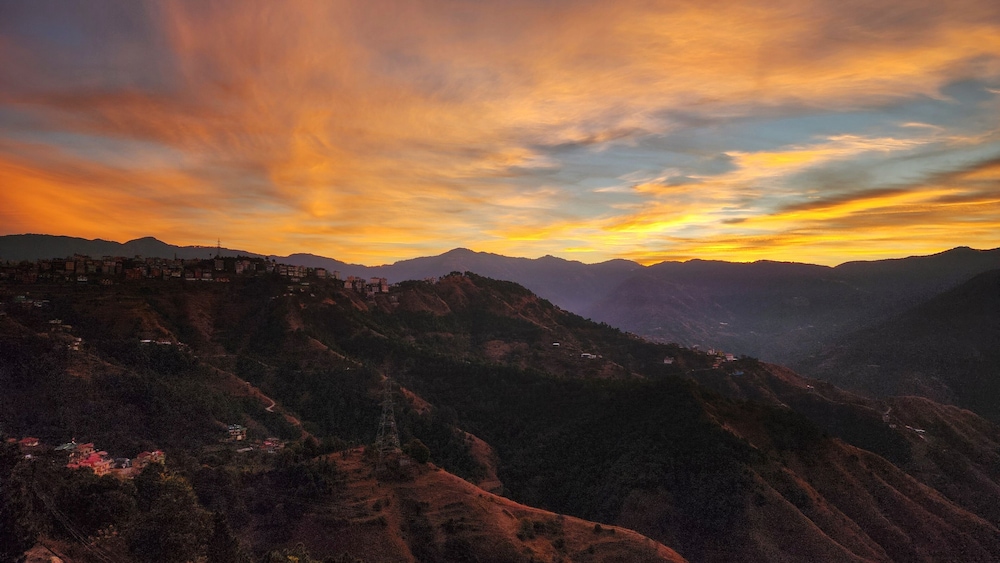 Royal Cedar Shimla view 3