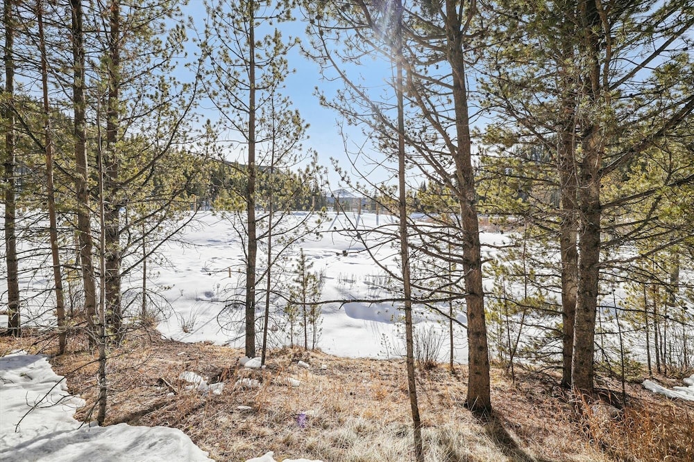 The Beaver Lodge At Breckenridge 4 Bedroom Home