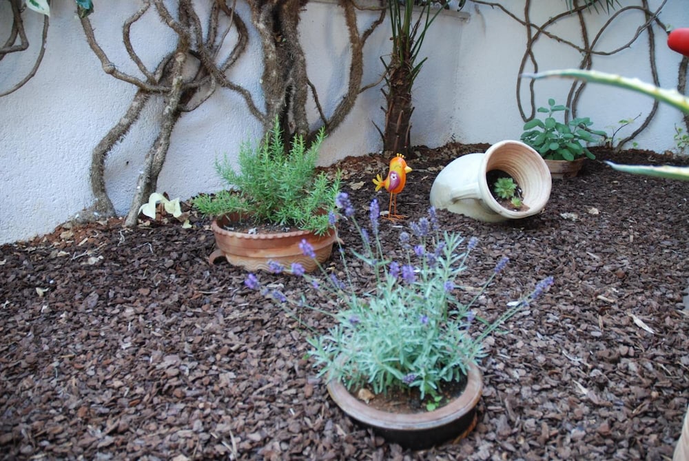 Photo 46