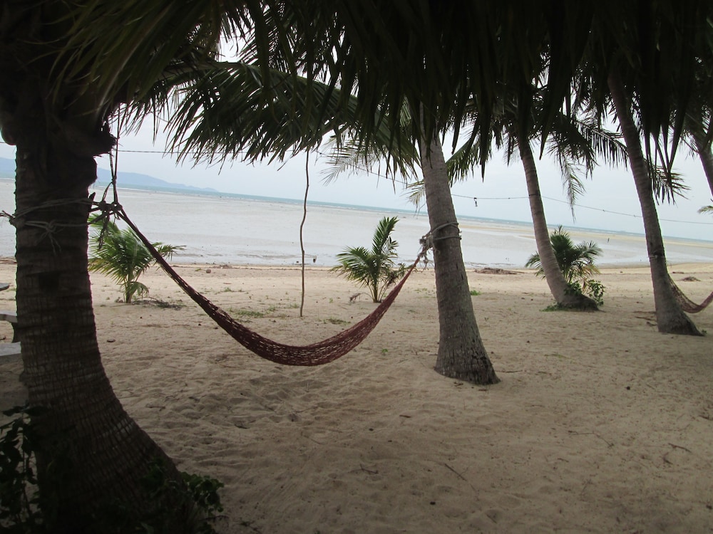 Photo 41