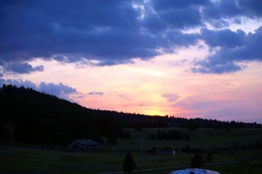 Suzies Camp