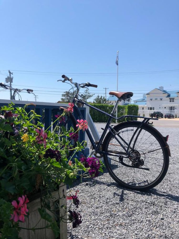 Haven Montauk