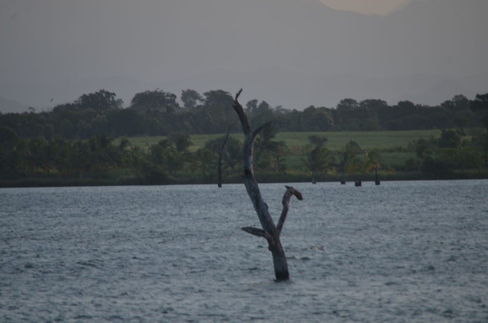 Makulu Safari Camping