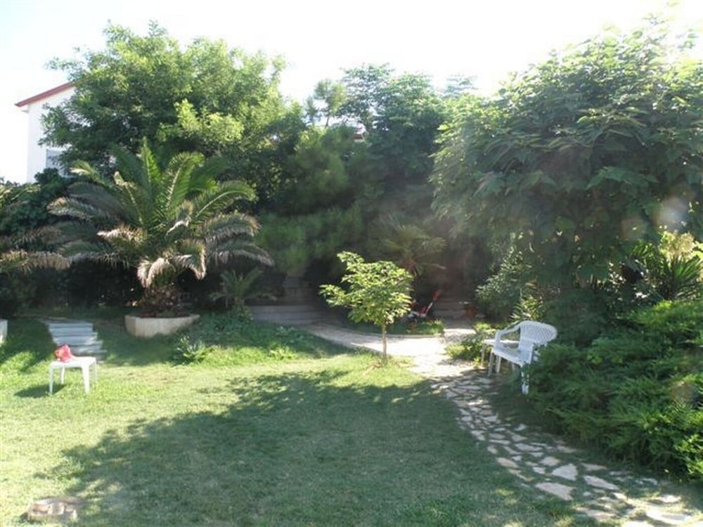 Photo 12