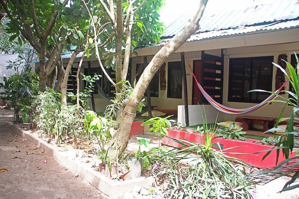 The Lazy Dog Bed & Breakfast