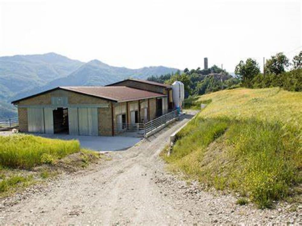 Photo 26