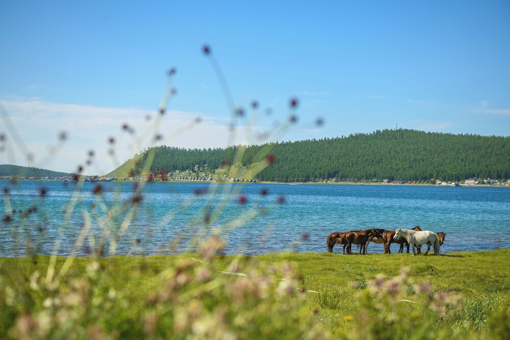 Dalai Eej Resort - Inside Khuvsgul Lake National Park