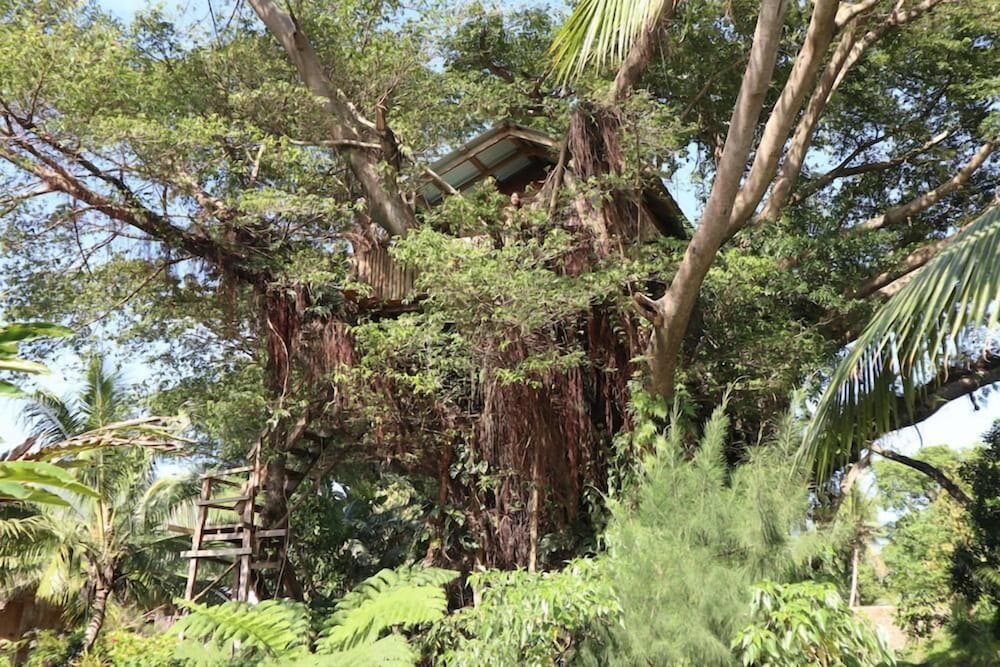 Castle Tree House