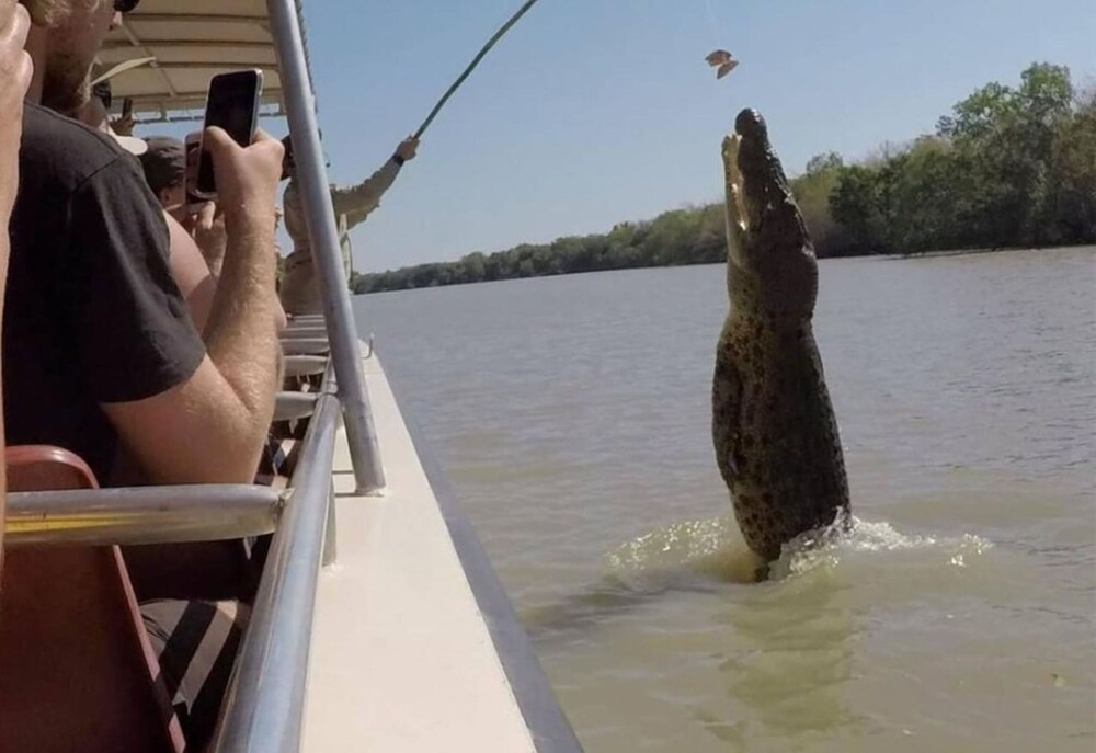 Townscape Vista Pool Gym Workspace Balcony - Image 2