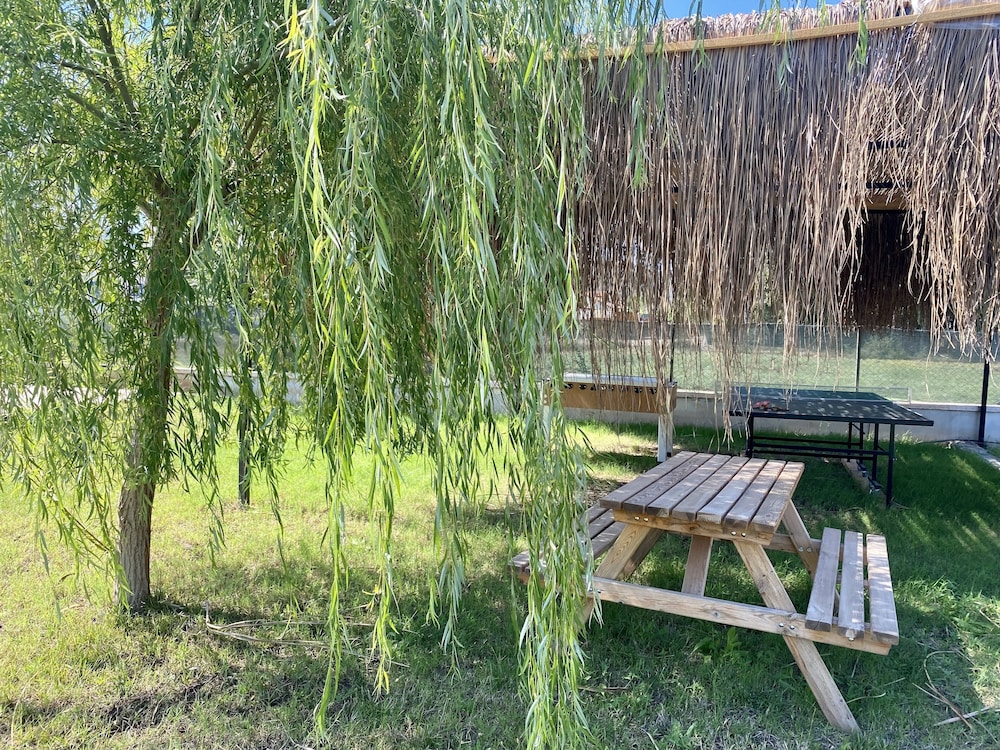 Photo 19
