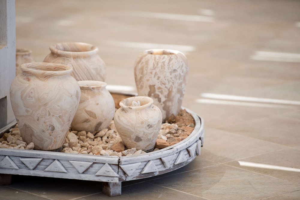 Amphoras Aqua Adults Friendly