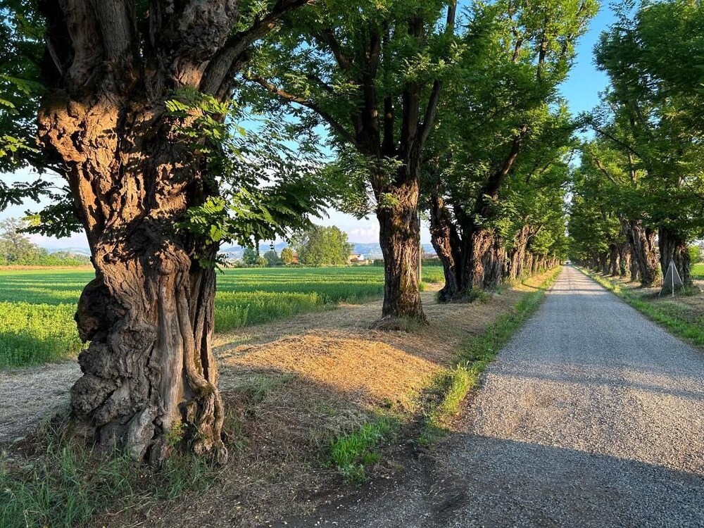 AGRITURISMO LE CORTI DELLA GUALDANA