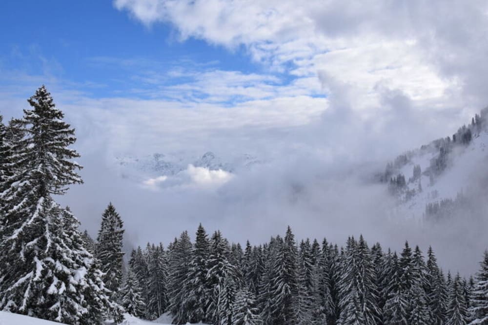 Holiday Apartment Allgauer Alpenblick
