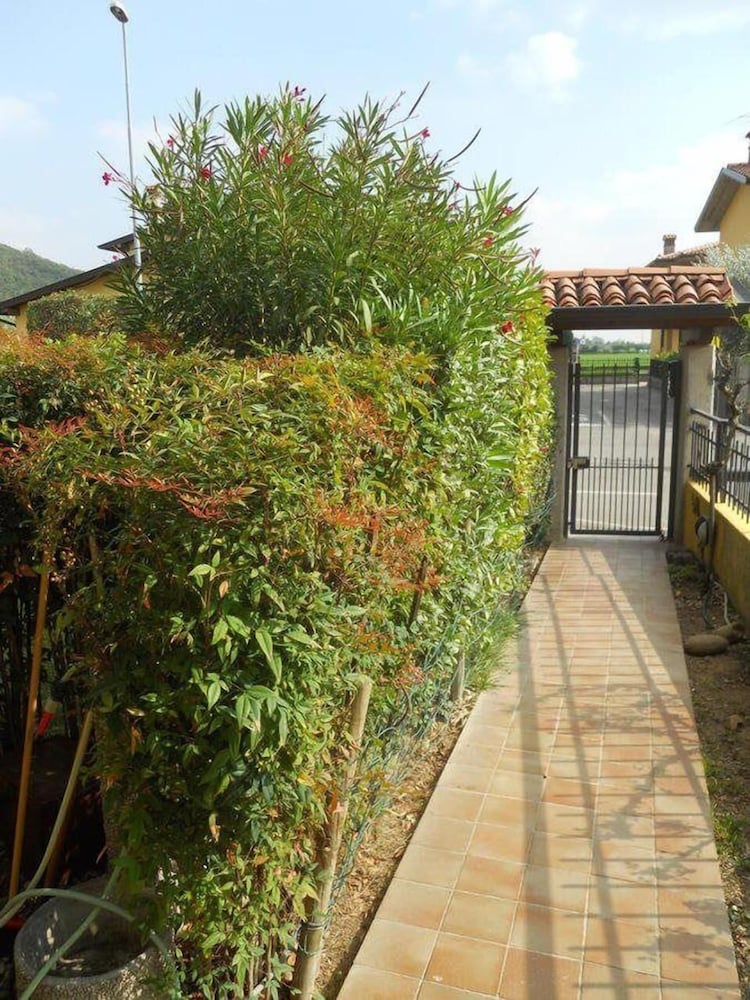 Uva Bianca in Franciacorta, photo 30