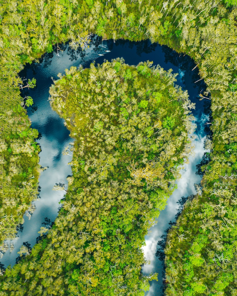 Habitat Noosa