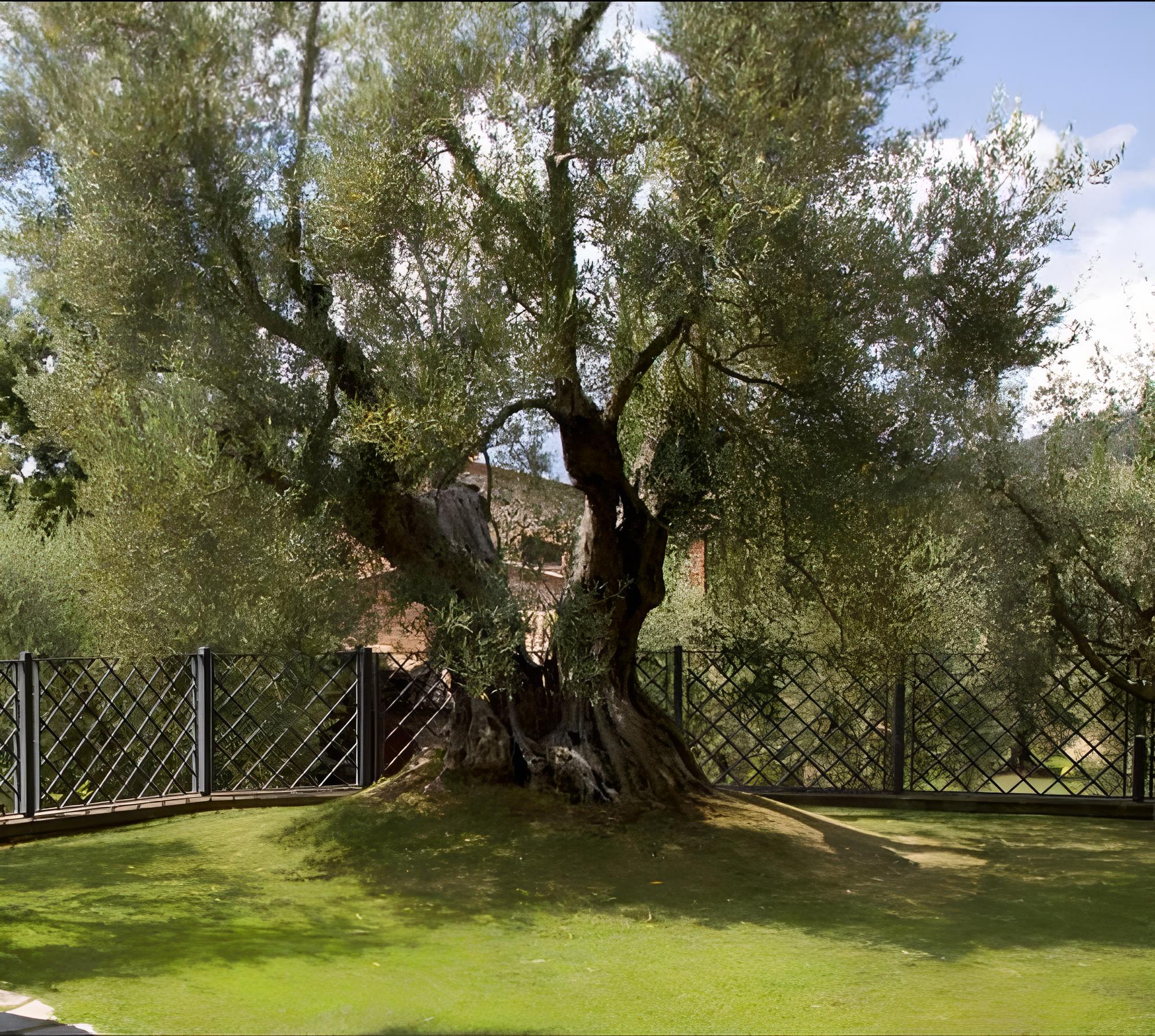 Relais Gli Ulivi