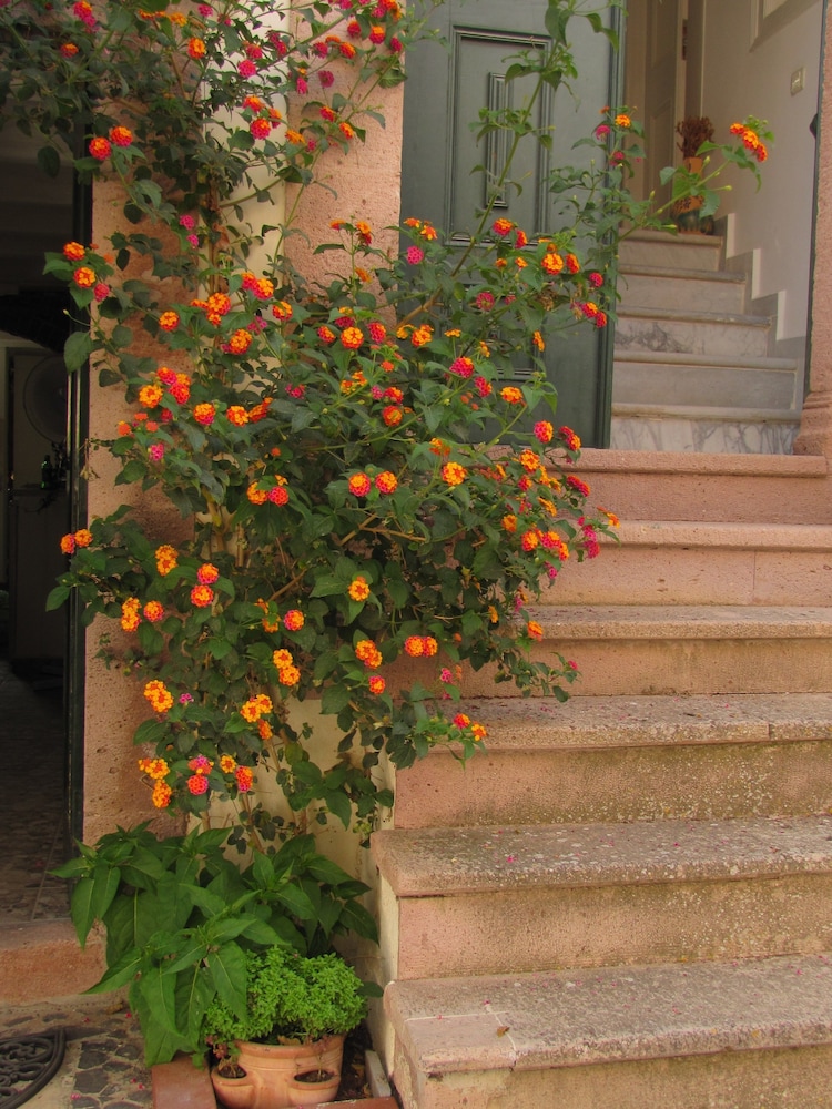 Eolos House Cunda