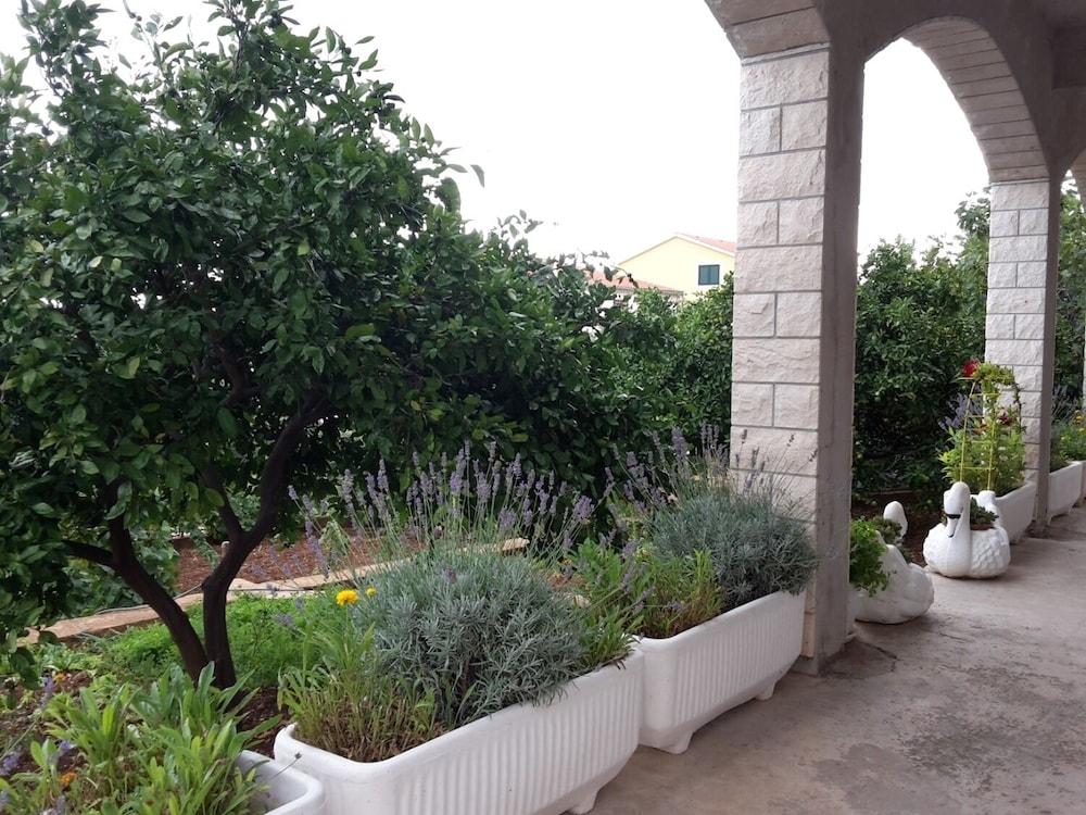 Photo 31