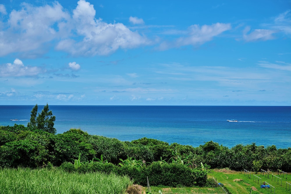 Grand blue 303 view 2
