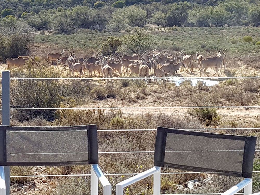 Rooiberg Safaris