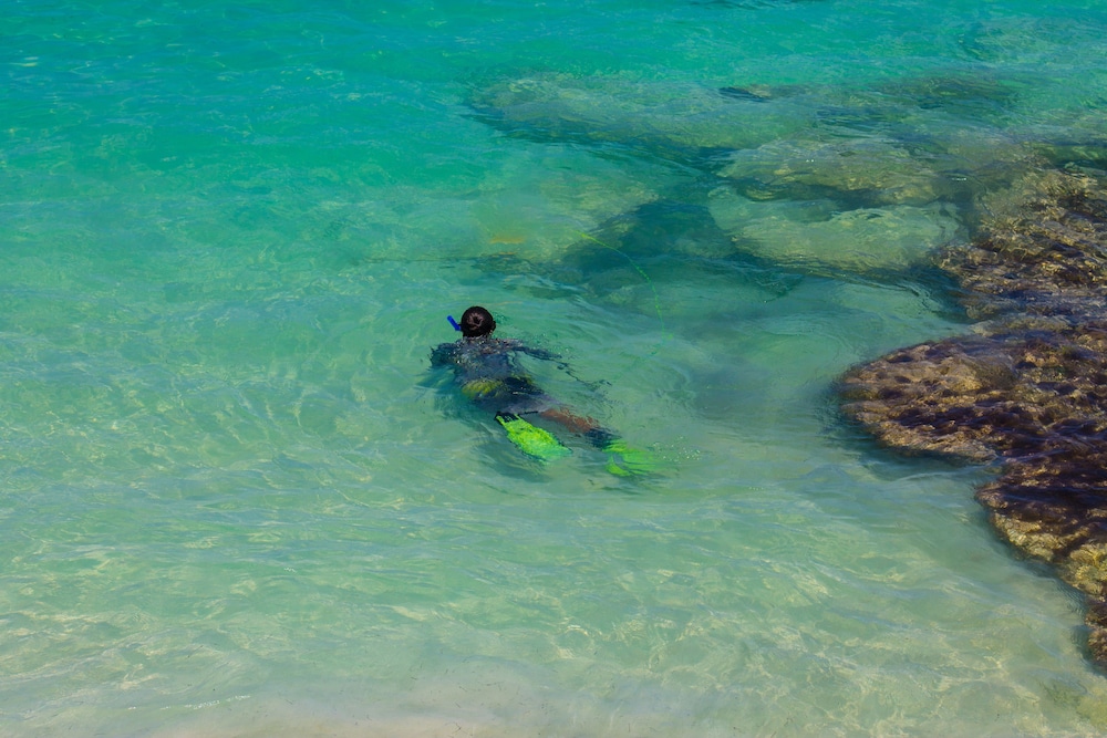 Dos Playas by Faranda All Inclusive 40
