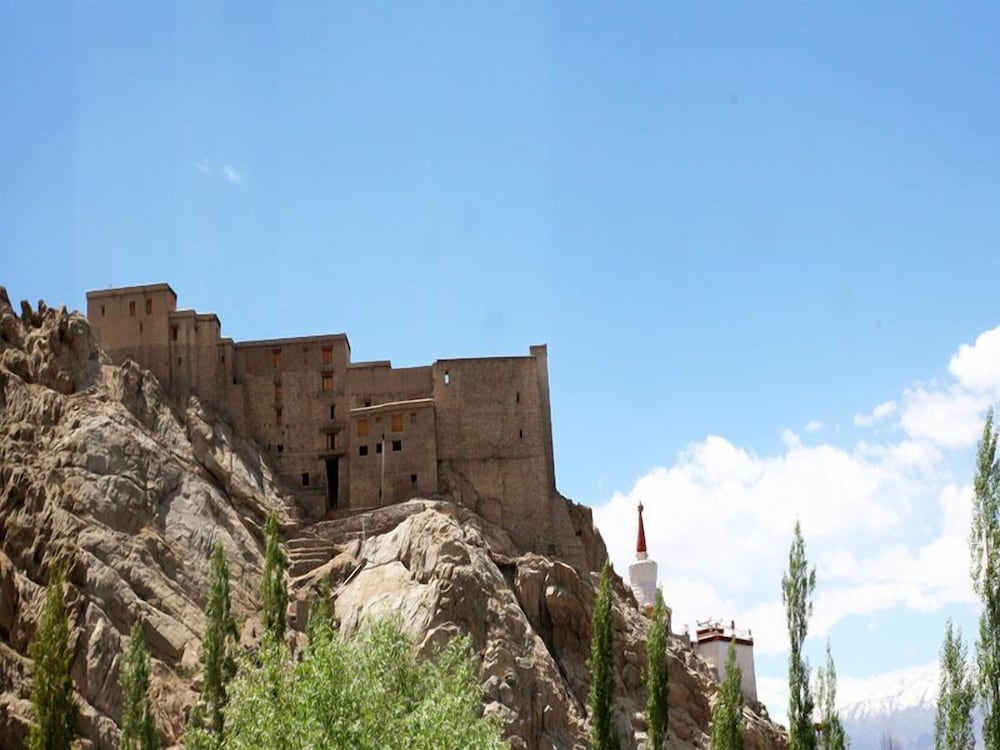 The Hotel Himalaya Leh