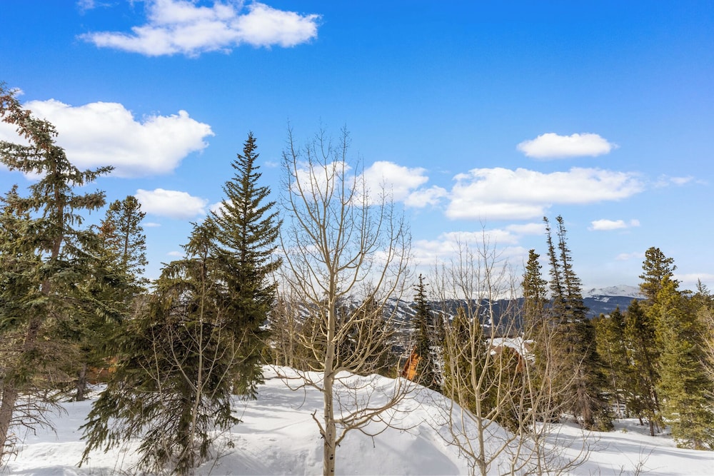 Rockridge #47
