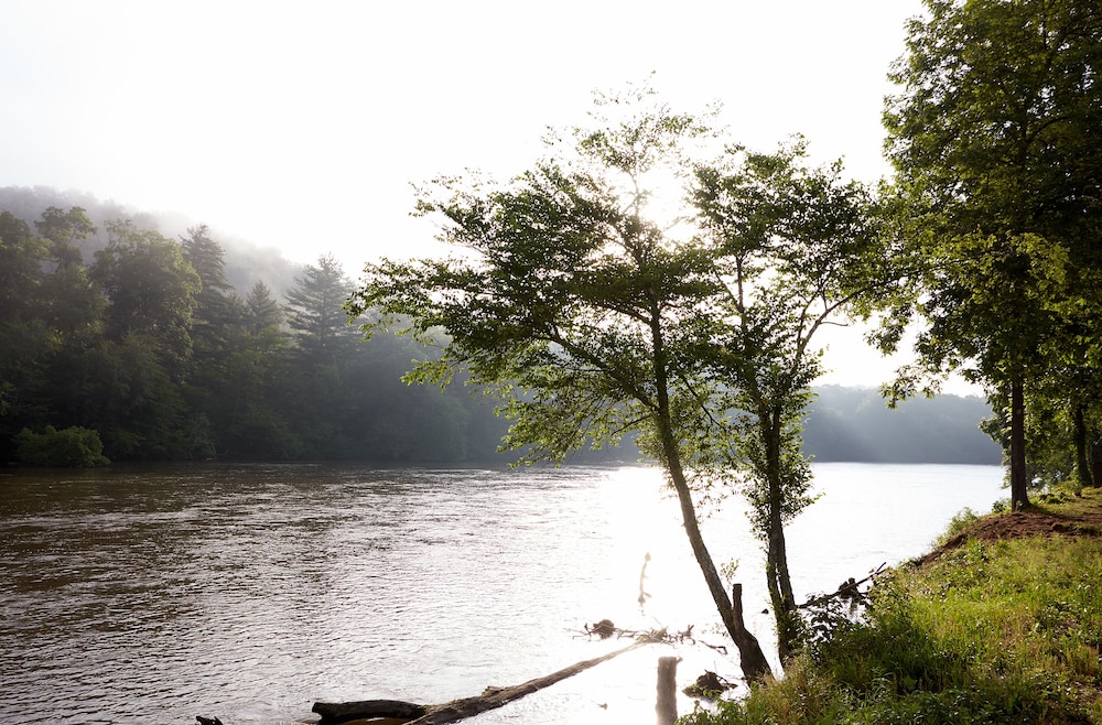Asheville River Cabins