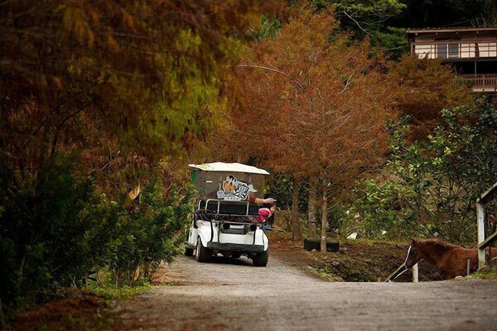 Yi-He Golden Homestay