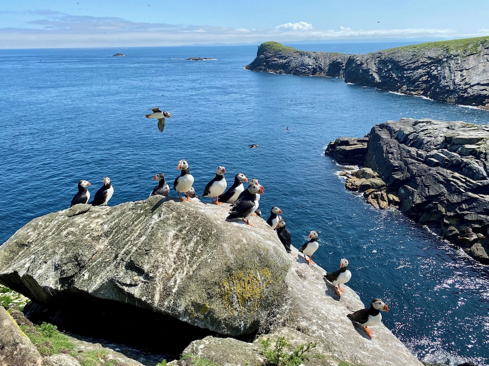 SEApods Luxury Glamping - Isle of Lewis