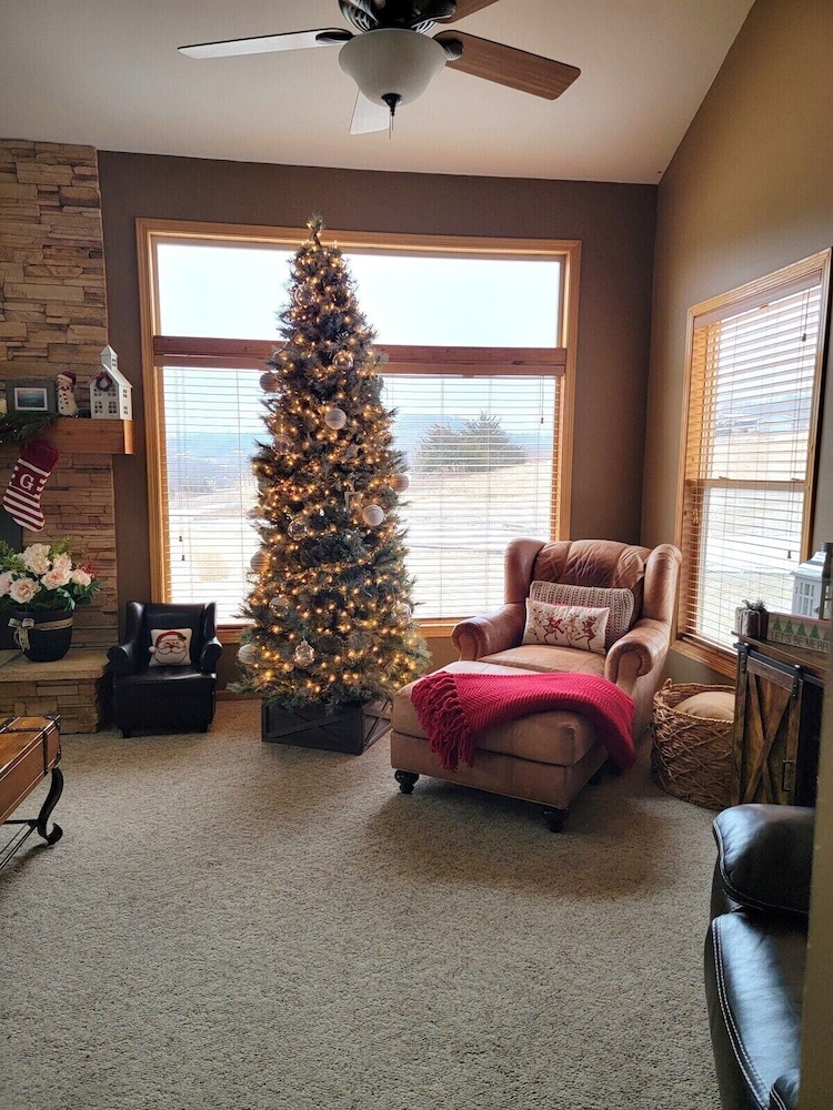 Olive Tree Rentals