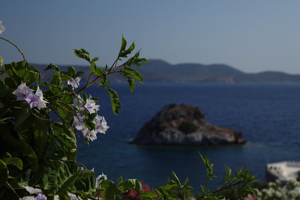 Eirini's Luxury Hotel Villas
