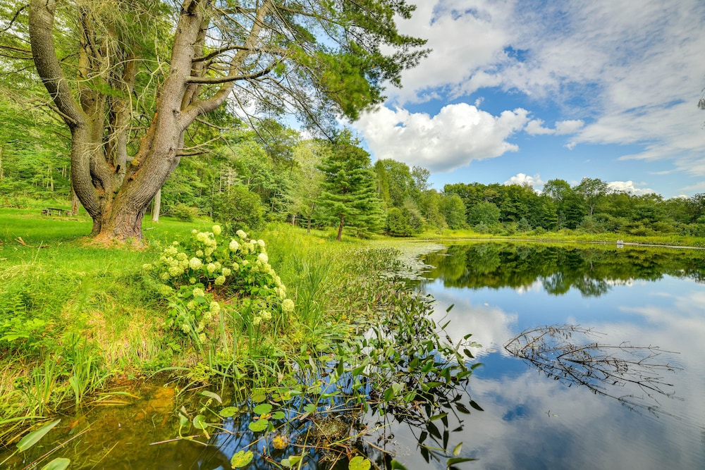 Secluded Upstate NY Forest Cottage on 33 Acres! view 3