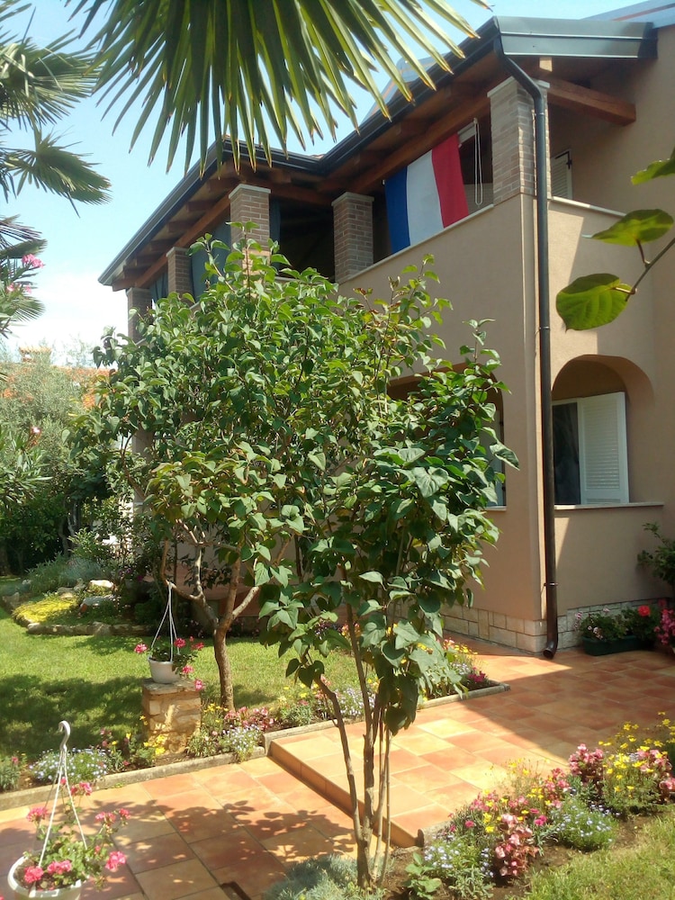 Photo 8