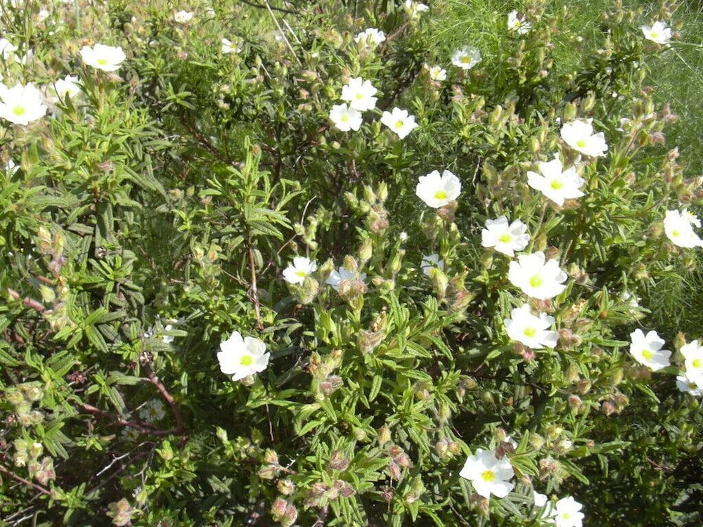 Photo 28